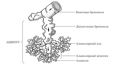 image (15) (1).png